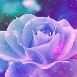 Meet your Posher, Maya